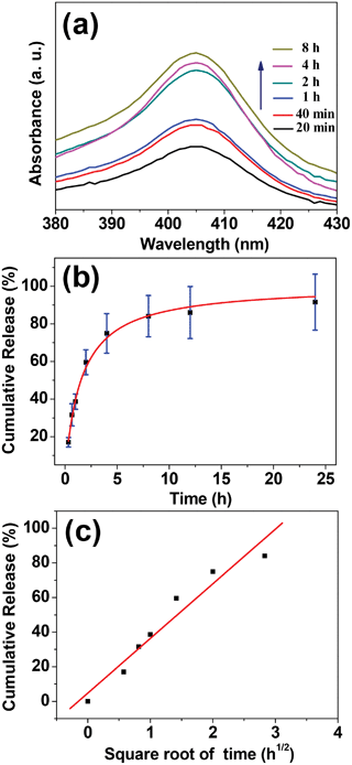 (a) UV-vis absorption spectra of the Hb release medium for different Hb release times; (b) cumulative Hb release percentages from the HAPUN/MNs nanocomposite in PBS at different times; (c) cumulative Hb release percentage as a function of square root of the release time. The sample used for the in vitro Hb release was prepared at an initial Hb concentration of 500 μg mL−1.