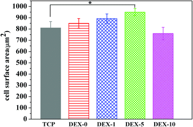 The quantitative analysis of cell surface area of rBMSCs cultured on fiber meshes for 7 days. * Indicates the data that has significant difference (p < 0.05, n = 3) to TCP.