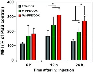 The relative geometrical mean fluorescence intensities (GMFI) of DOX in rat hepatocytes. Rats received a single intravenous injection of free DOX, m-PPE–DOX or Gal-PPE–DOX at an equivalent DOX dose of 10 μg g−1 of body weight (n = 3 per group). Student's t test was performed. * p < 0.05.