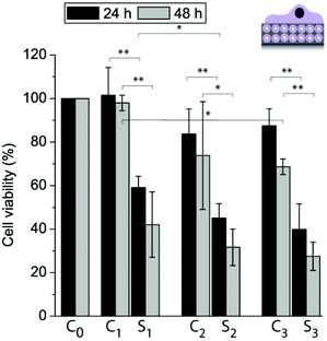 Myoblast cell viability allowed adhering to different coatings for 24 h and 48 h: C0: PDA30, C1: 10M2.5, S1: 10_TCM2.5, C2: 10M2.5/PLL/PMAc/L10/PDA30, S2: 10_TCM2.5/PLL/PMAc/L10TC/PDA30, C3: 10M2.5/PLL/PMAc/10M2.5 and S3: 10_TCM2.5/PLL/PMAc/10_TCM2.5 (*p < 0.05, **p < 0.005, n = 3).