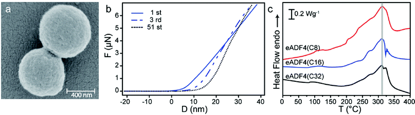 (a) SEM image of eADF4(C16) particles. (b) Fatigue tests of dry eADF4(C16) particles. Force–distance curves of an individual particle showing an increasing slope and a shift in the contact point with ongoing deformations. (c) Differential scanning calorimetry (DSC) measurements of eADF4 proteins with identical amino acid composition and molecular weights of 24.6 (eADF4(C8)), 47.7 (eADF4(C16)) and 93.8 kDa (eADF4(C32)).