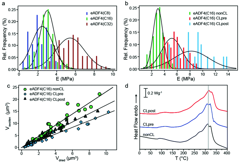 (a) Histogram showing the distribution of elastic moduli of eADF4(C8), eADF4(C16) and eADF4(C32) spider silk particles in the hydrated state (n > 50). The solid lines represent Gaussian fits. (b) Histogram showing the distribution of elastic moduli for hydrated non-crosslinked and chemically crosslinked eADF4(C16) particles with the solid lines representing Gaussian fits of the data. Crosslinking molecules were added before (pre) or after (post) particle formation leading to differently crosslinked particles. (c) Hydrated vs. dried volume of chemically crosslinked and non-crosslinked eADF4(C16) particles. CLpre particles show significantly less swelling than all the other particles with a volume swelling factor of 1.40. CLpost particles exhibit a swelling factor of 1.76, which is in between that of non-crosslinked and ‘pre’ crosslinked particles. Solid lines represent linear fits. (d) DSC scans of dehydrated chemically crosslinked and non-crosslinked eADF4(C16) particles.