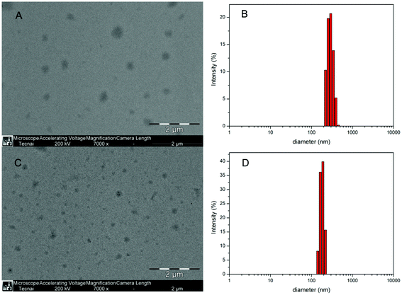 TEM micrographs of the F-30-20 (A) and F-30-20-DOX7 (C) nanoparticles; size and size distribution of F-30-20 (B) and F-30-20-DOX7 (D) determined by DLS.