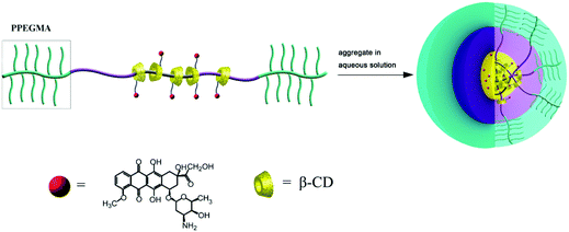 Schematic diagrams of the self-aggregation of the PR-DOX nanoparticles in an aqueous medium.