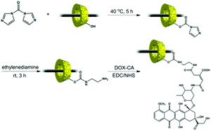 Preparation pathway of the PR-DOX conjugates.