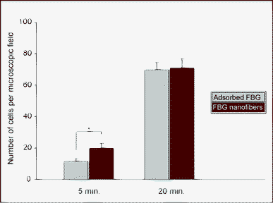 HUVEC attachment to FBG-coated glass coverslips (grey bars) and electrospun FBG nanofibers (red bars) at 5 and 20 minutes after plating. Data show the average cell number per microscopic field.