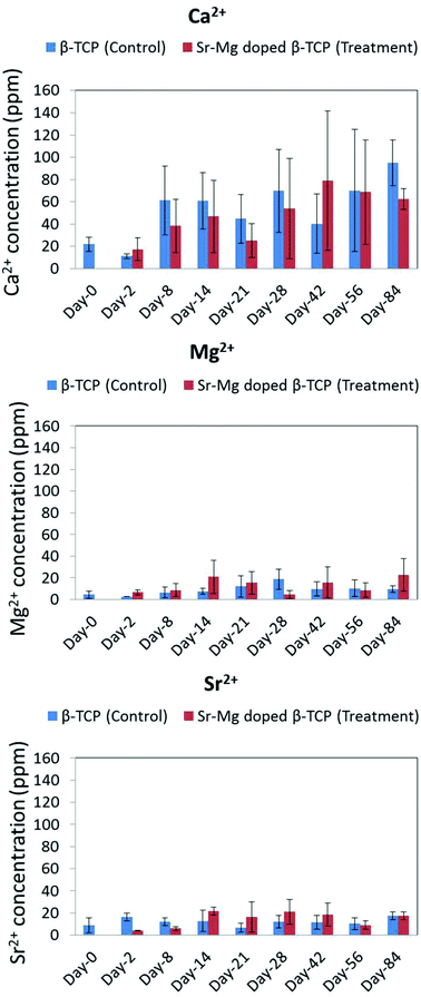 Ca2+, Mg2+ and Sr2+ concentration in control group (received only pure TCP) and treatment group (received only Sr/Mg doped TCP) rat urine at different time points.