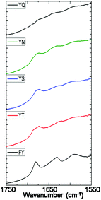 Amide I region of FTIR absorbance spectra of 10 mM samples of 1, 2, 3, 4 and 5 measured after 24 hours of enzyme addition.