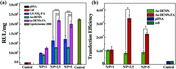 (a) Luciferase gene transfection efficiency of Au DENPs/pDNA and Au DENPs-FA/pDNA polyplexes determined in HeLa cells in the N/P ratios of 1 : 1, 2.5 : 1, and 5 : 1, respectively. (b) EGFP gene transfection efficiency of Au DENPs/pDNA and Au DENPs-FA/pDNA polyplexes determined in HeLa cells in the N/P ratios of 1 : 1, 2.5 : 1, and 5 : 1, respectively.