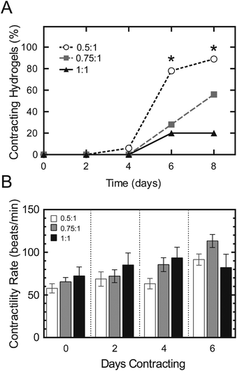 Yield of contracting hydrogels (A) and contractility rate (B) plotted for each hydrogel-encapsulated embryoid body exhibiting contractile behavior for up to 8 days. Data are displayed as the mean and SEM for each group (n = 8–14). Significant differences among groups (p < 0.05) using χ2 test for binomial distributions is denoted by *. No significant differences in contractility rates were observed among all groups.