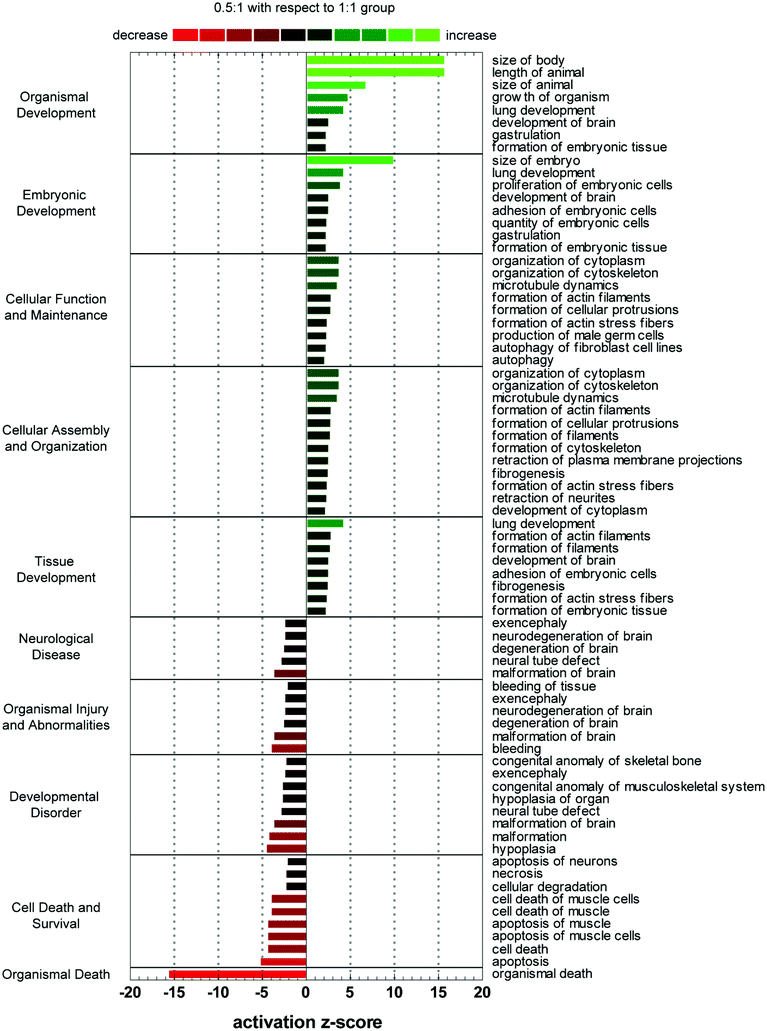 Functional pathway enrichment analysis of genes differentially regulated (p < 0.05) between 0.5 : 1 and 1 : 1 crosslink density groups. Top five up and down regulated categories are presented, where the magnitude of functional increase (green) or decrease (red) of 0.5 : 1 group over 1 : 1 group for respective processes are indicated by activation z-score.