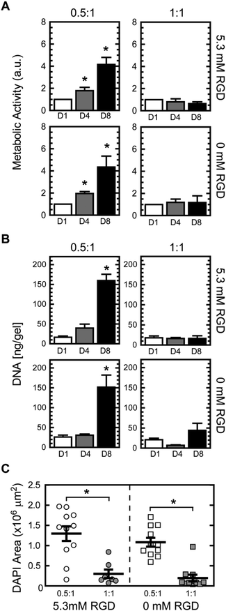 Metabolic activity (n = 5–6) (A) and DNA content (n = 11–12) (B) for murine EBs encapsulated in 5 wt% ELP hydrogels of 0.5 : 1 and 1 : 1 crosslink density, with 5.3 or 0 mM RGD ligand density, at days 1, 4, and 8. DAPI coverage (n = 7–11) of murine EBs encapsulated after 8 days of culture (C). Significant difference (p < 0.05) compared to 1 : 1 counterparts determined by Tukey's posthoc test is denoted by *. No significant differences were observed between 0 (using scrambled RDG ELP variant) and 5.3 mM RGD hydrogels at the same crosslink density.