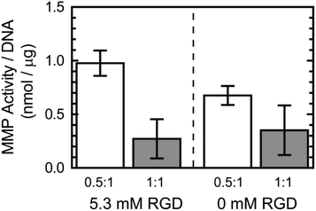 MMP activity within 5 wt% ELP hydrogels with 5.3 or 0 mM RGD ligand density at 0.5 : 1 and 1 : 1 crosslink density (n = 3).