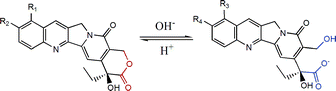 Chemical scheme of hydrolysis of CPT analogues.