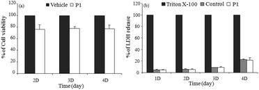 (a) C2C12 cell viability results of P1 (100 μM) by MTT assay at different time intervals. Controls (vehicle) are 100% cell viable; (b) amount of LDH released in culture supernatant from P1 or untreated (control) C2C12 cells estimated using an enzyme assay as described in materials and methods. % of LDH release was calculated considering 0.1% triton X-100 treated cells as 100%. The experiment was repeated three times. Data are presented as mean ± SD.