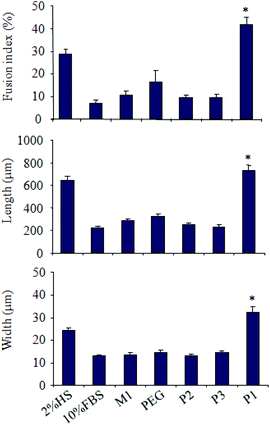 Fusion index (top) [which was calculated using the formula: (number of nuclei in multinucleated cells/number of total nuclei present in a given field) × 100], length (middle) and width (bottom) of multinucleated cells. *, p < 0.05, P1vs.P2, P3, M1, PEG or 10% FBS. Data presented here are mean ± SEM from three independent experiments.