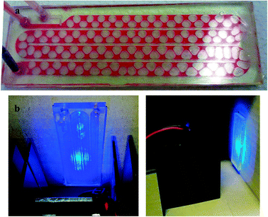 Microfluidic apparatus for the photochemical growth of silver NPs: (a) air bubbles forming and flowing in a stream of red tracer dye; (b) two images of the illuminator/microchip assembly during operation.