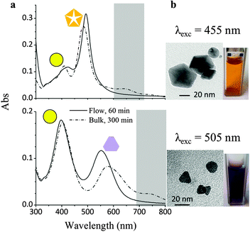 (a) UV-Vis absorption spectra of silver NP colloids irradiated with visible light at 455 nm and 505 nm under flow (solid line) and bulk (dash-dotted line) conditions. (b) Hue of the colloids after irradiation and TEM micrograph of anisotropic particles contributing to visible light absorption.