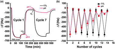 Quartz crystal microbalance response: (a) time-dependent frequency changes for the adsorption of BSA on a PDEAEMA brush surface upon incubation with alternating CO2/N2 bubbling or pH change (between 5 and 7); arrows indicate where gas was injected into or pH change was made to the solution; (b) frequency changes (Δf) for the adsorption of BSA over repeated cycles of switching triggered by gases or pH change.