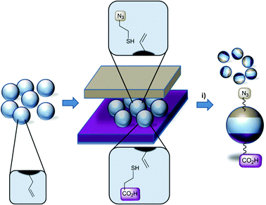 Schematic illustration of the preparation of chemically orthogonal Janus beads by “sandwich” microcontact printing of functional thiols on alkene bead surfaces; (i) 80 mM thiol 1 and 2, 40 mM DMPA in ethanol, UV-LED (365 nm), 5 min.