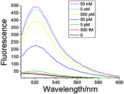 Concentration-dependent fluorescence response with different amounts of miRNA. The concentrations for Probe-199a1 and short primer are 50 nM and 500 nM, respectively, and 20 U of Bst polymerase was used in a 100 μL system.