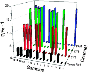 Multiplexed miRNAs detection. Four hairpin probes with their perfectly complementary miRNAs are labeled with different fluorophores. miR199 (FAM, blue emission at 518 nm); miR21 (CY3, orange emission at 580 nm); miR141 (Texas Red, red emission at 613 nm); miR155 (Cy5, red emission at 663 nm).