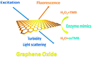 Schematic illustration of triple-channel properties of GO.