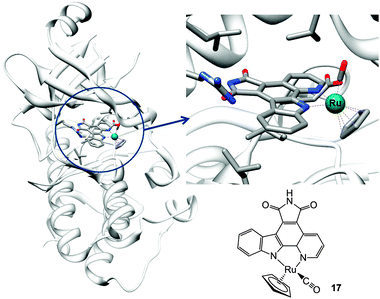 Molecular structure of complex 17 and X-ray crystal structure showing its interactions in the ATP pocket of PIM2 kinase (PDB ID 2IWI). Adapted from ref. 233.