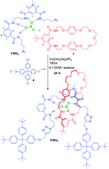 Synthesis of rotaxane 5·NO3via nitrate templation.