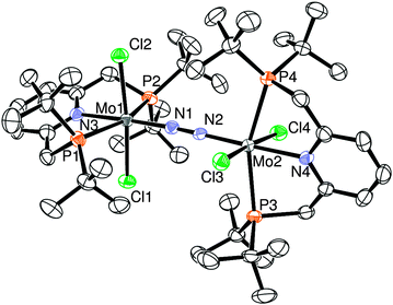 ORTEP drawing of 2. Thermal ellipsoids are shown at the 50% probability level. Hydrogen atoms and solvent molecules are omitted for clarity. Selected bond lengths (Å) and angles (°): Mo1–N1 1.925(2), Mo2–N2 1.927(2), Mo1–N3 2.192(2), Mo2–N4 2.197(2), N1–N2 1.169(3), Mo1–N1–N2 177.1(2), Mo2–N2–N1 177.9(2), P1–Mo1–P2 157.59(3), P3–Mo2–P4 156.94(3), Cl1–Mo1–Cl2 173.41(3), Cl3–Mo2–Cl4 174.64(3).