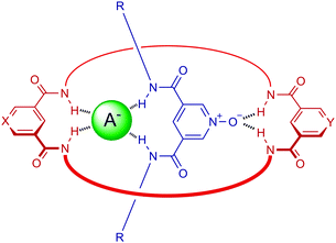 Anion templated pseudorotaxane assembly between a bis-isophthalamide macrocycle and 3,5-bis-amide pyridine N-oxide thread.