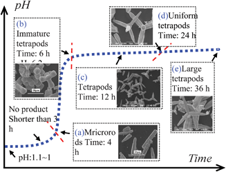 The effects of pH value and reaction time on the particle morphology.