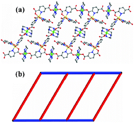 (a and b) View showing the 1D ladder shapes (the H atoms were omitted for clarity, C, gray; O, red; N, blue; M, yellow; M′, green.)