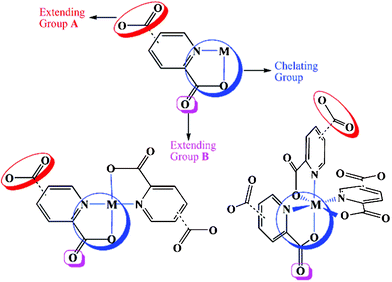 Observed coordination modes of (2,n-pydc)–metal complexes and polymers.