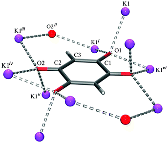 Environment of the DHQ2− dianion in K2DHQ. Symmetry operators: (i) −x, −y, −z; ii) x, −y + 3/2, z + 1/2; (iii) −x, y + 1/2, −z + 1/2; (iv) −x, −y + 1, −z + 1; (v) −x + 1, y + 1/2, −z + 3/2; (vi) x + 1, y, z.