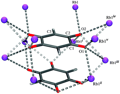 Environment of the DHQ2− dianion in Rb2DHQ. Symmetry operators: (i) x, y, −z; (ii) x + 1/2, y + 1/2, z + 1/2; (iii) −x + 1/2, −y + 1/2, z + 1/2; (iv) −x + 1/2, −y + 1/2, −z + 1/2; (v) x + 1/2, y + 1/2, −z + 1/2.