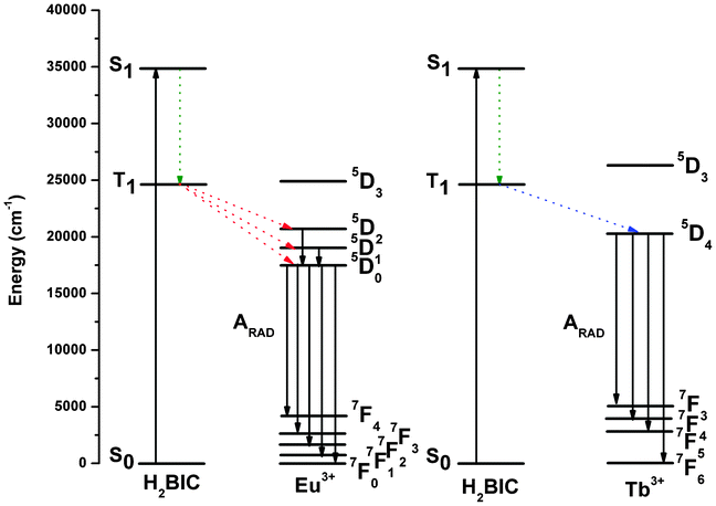 Schematic energy level diagrams and energy transfer mechanisms for compounds 1 and 2. S1 represents the first excited singlet state and T1 represents the first excited triplet state.