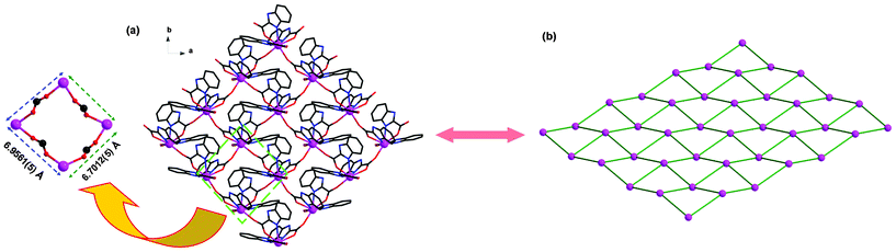 (a) A wave-like 2D network in compound 1, H atoms are omitted for clarity. (b) A schematic view of the topology framework of 1.