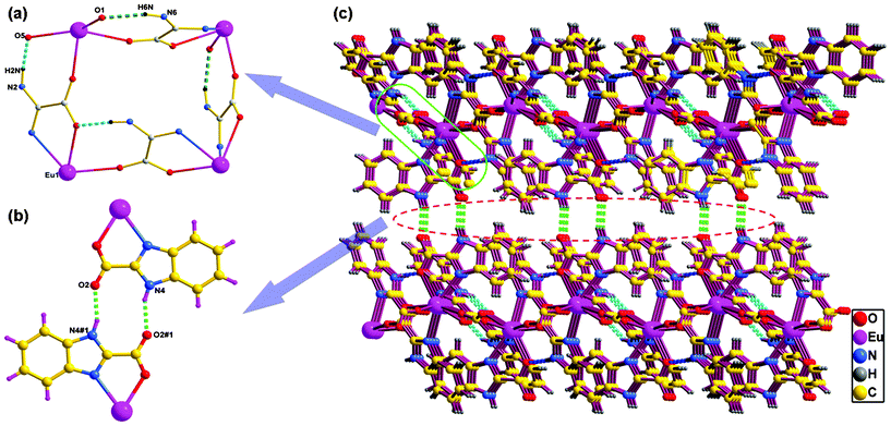 (a) Intra-layer hydrogen-bonding interactions in 1, the benzene rings of the benzimidazole groups are omitted for clarity. (b) Inter-layer hydrogen-bonding interactions in 1. (c) 3D supramolecular architecture assembled via intra-layer and inter-layer hydrogen bonds in 1, where pink and green dashed lines denote intra-layer and inter-layer hydrogen-bonding interactions, respectively.