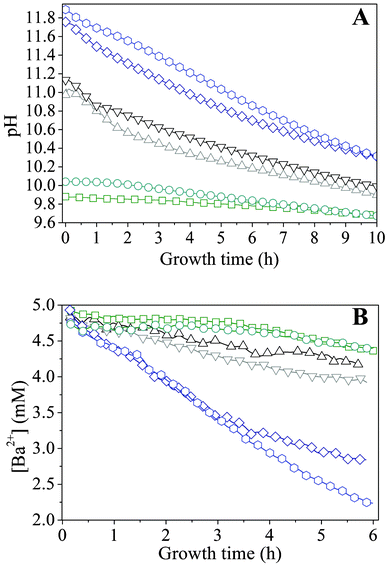 Profiles during growth of silica biomorphs from solutions at different initial pH values. -- pH 11.90, -◇- pH 11.75, -▽- 11.15, -△- 11.00, -○- pH 10.05, and -□- pH 9.90. Note that the decrease in the Ba2+ concentration is linear in time over a period of at least 4 h.