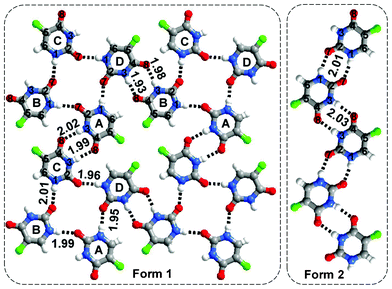 Two polymorphic forms of 5-fluorouracil (Form 1 and 2).