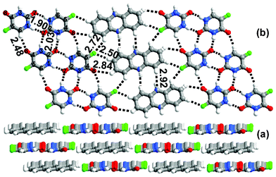 (a) Layered packing observed in 1a. (b) In the sheet the molecules of a are sandwiched between the tapes of 1.