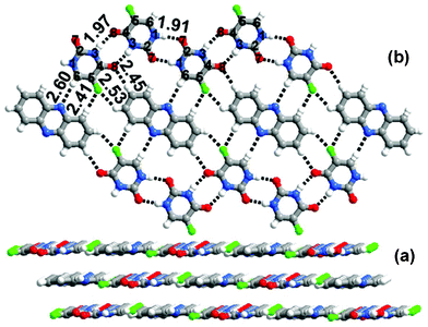 (a) Layered packing observed in 1b. (b) Sheet network observed in 1b.