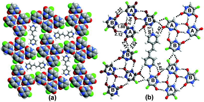 Host–guest network observed in 1c. The host network is formed by the molecules of 1 and the molecules of c behave as guests. (b) H-bond interactions.