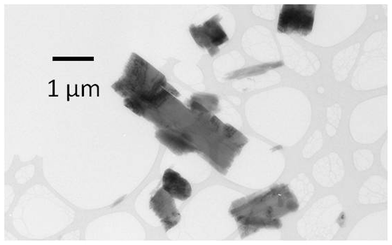 Crystals of a new phase obtained during crystallization of 1 and b by fast evaporation from methanol.