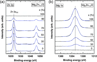 XPS spectra of (a) Zn 2p and (b) Mg 1s core levels measured in MgxZn1−xO QDs grown on c-Al2O3. The nominal Mg concentration of the QDs is indicated on each curve. Solid blue lines are Gaussian fitting of the experimental results. Vertical dashed lines in each plot indicate the energy position of the Zn 2p3/2 and Mg 1s core levels in ZnO and MgO QDs, respectively, as obtained by the fitting of the XPS spectra.