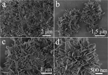 SEM micrographs of hydroxyapatite NFHNs prepared using Ca(CH3COO)2·H2O and NaH2PO4·2H2O by a microwave-assisted hydrothermal method at 100 °C for 5 min.