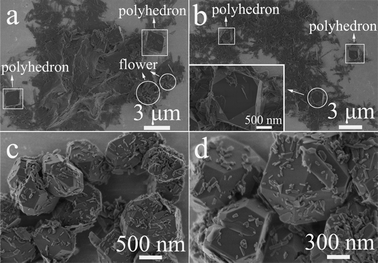 SEM micrographs of the samples prepared using Ca(CH3COO)2·H2O and NaH2PO4·2H2O by a microwave-assisted hydrothermal method at different temperatures for 5 min. (a) 130 °C; (b) 160 °C; (c, d) 200 °C.