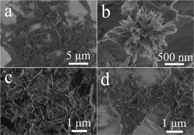 SEM micrographs of the samples prepared using Ca(CH3COO)2·H2O and NaH2PO4·2H2O by a microwave-assisted hydrothermal method at 100 °C for different times. (a, b) 1 min; (c) 5 min; (d) 30 min.