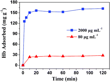 Adsorption kinetics of Hb on the as-prepared hydroxyapatite NFHNs at different Hb initial concentrations of 80 and 2000 μg mL−1.